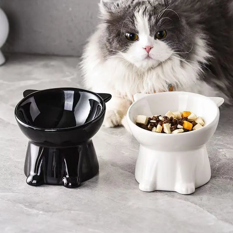 2-Piece Set 15° Tilted Elevated Pet Bowls, Neck Protection Anti-Vomiting Feeder for Cats & Small Dogs, Non-Slip Plastic Bowl